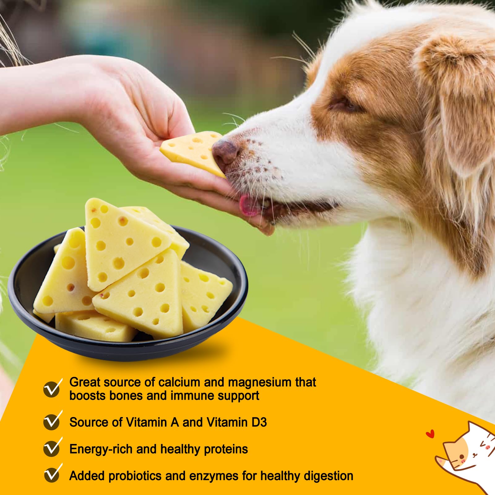 Hundesnacks Mit Ziegenkäse & Probiotika – 120 G (15 Stück) | Für Immunität, Fell & Verdauung