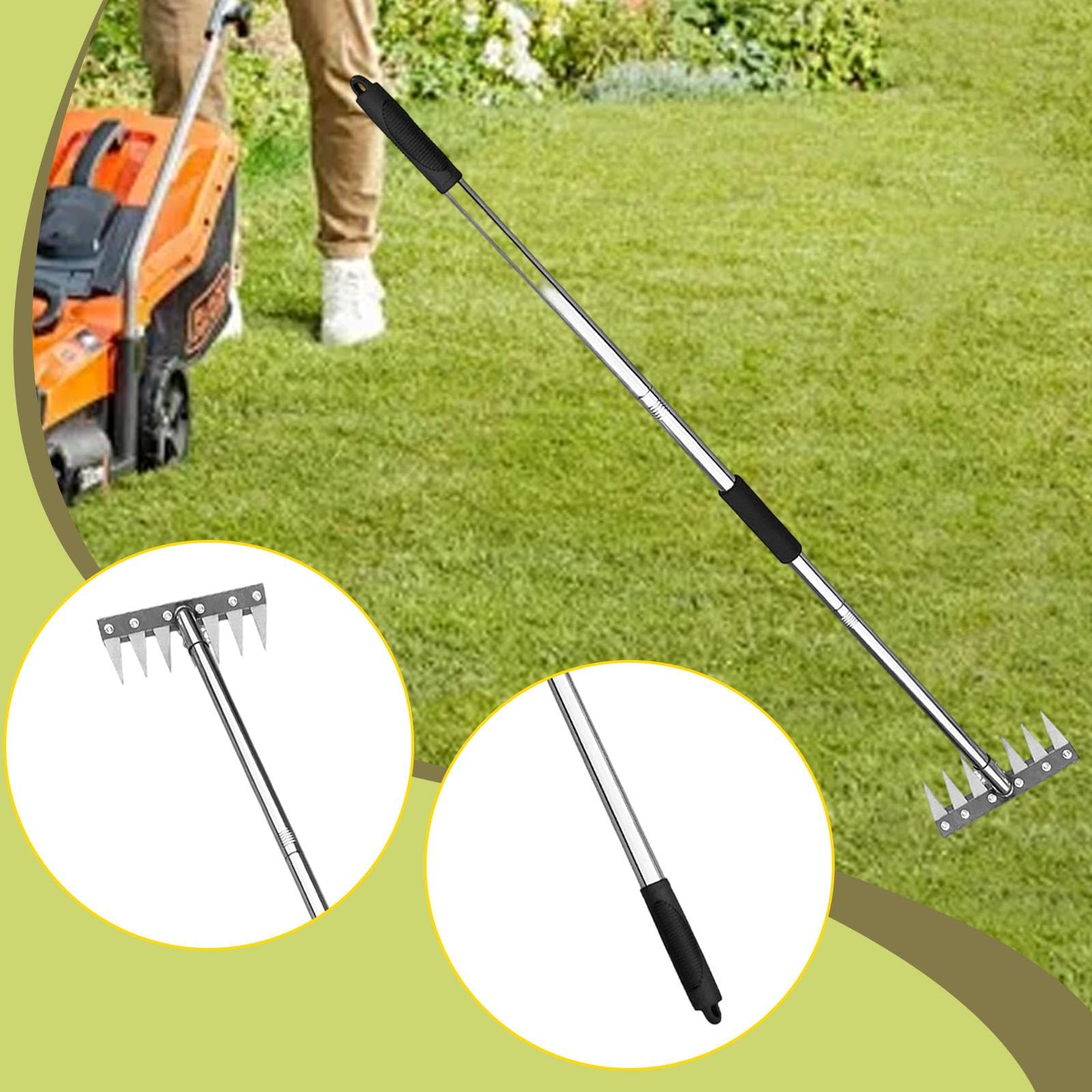 Estirpatore Manuale Erbacce Rastrello Diserbante Portatile Acciaio Inossidabile Impugnatura Ergonomica Funzione Multifunzione Adatto a Giardinaggio Se, 7 Denti