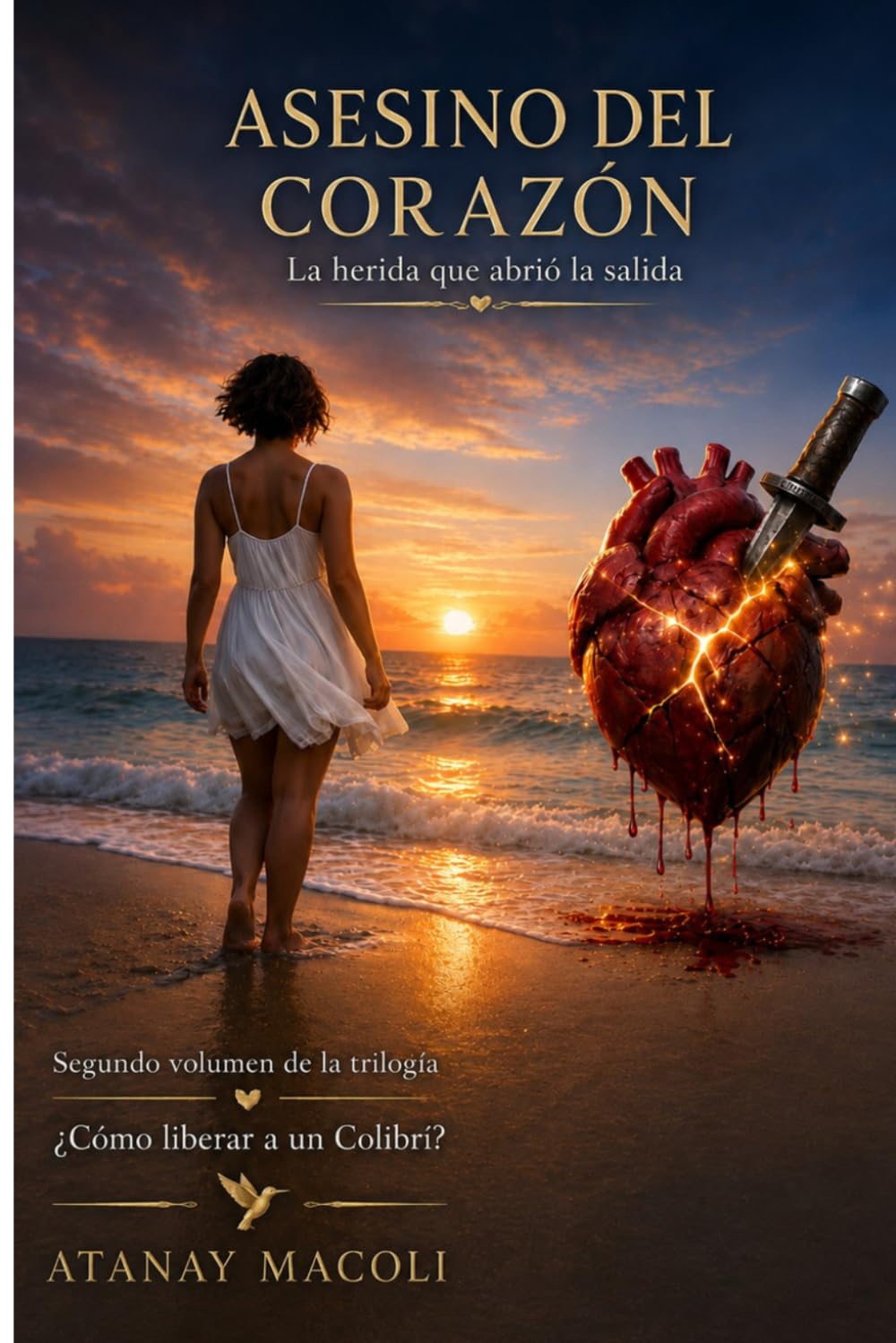 El Asesino Del Corazón: La herida que abrió la salida