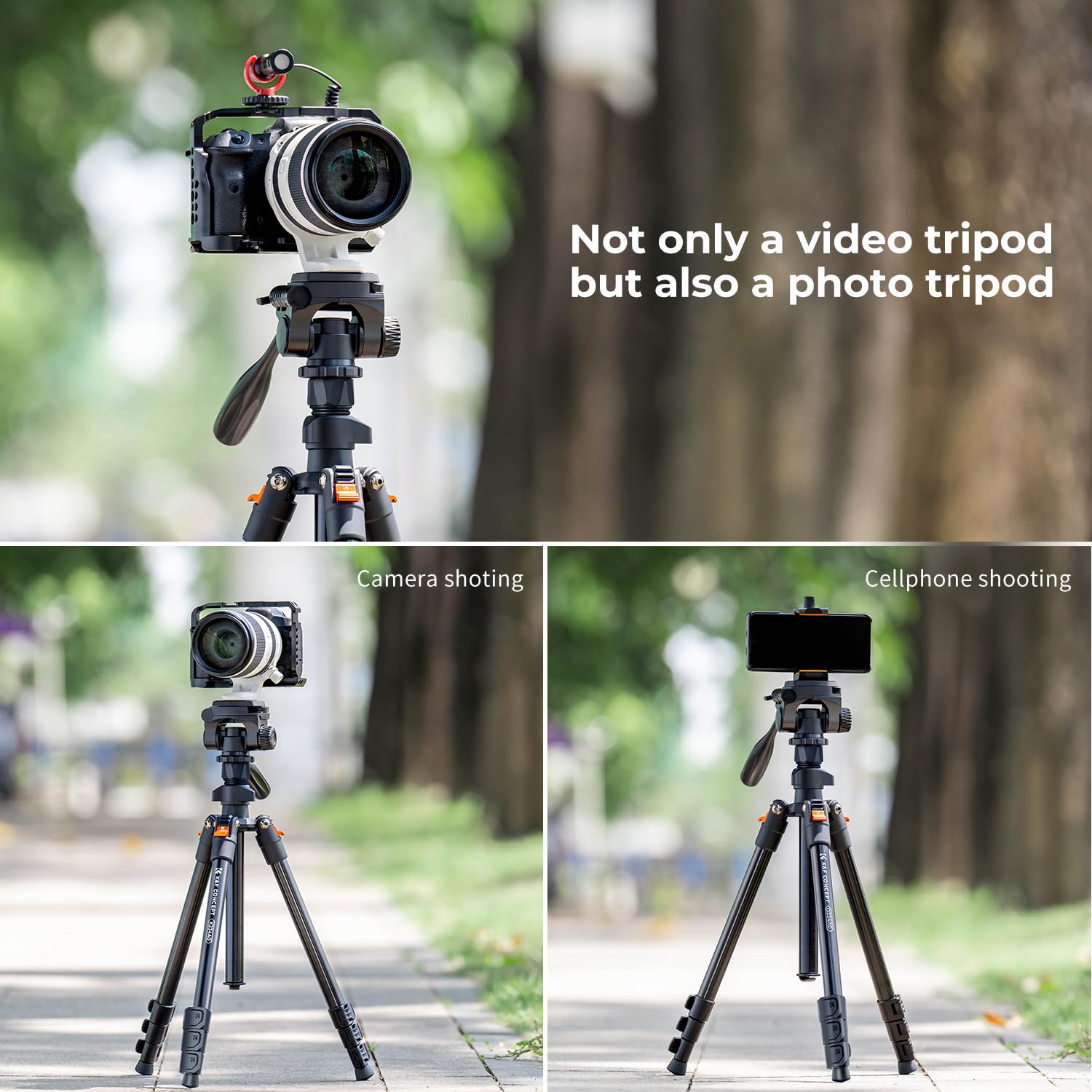 K&F CONCEPT 78 inch Camera Tripod for DSLR Compact Aluminum Tripod with 360 Degree Ball Head and 22lbs Load for Travel and Work  (S210): 64" height/Swivel Pan Head