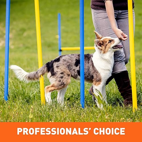 Miniatura 7 de Cloud Star Tricky Trainers - Paquete variado sin granos – Cuatro sabores totales: mantequilla de maní, hígado, queso y salmón Plus Pet Paws Bloc de