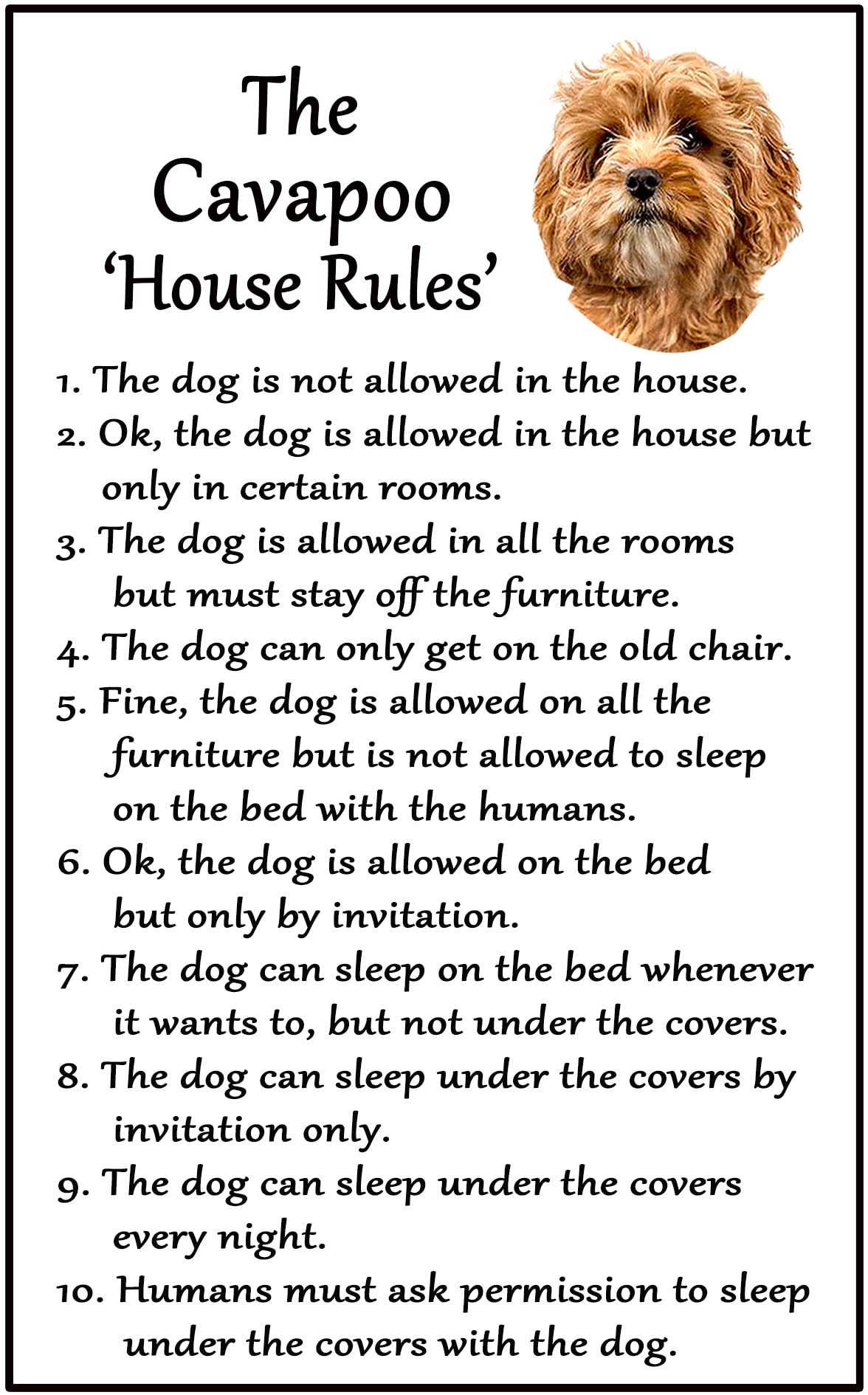 Fridge Magnets White Cavapoo Dog Gift - House Rules - Large Fun Flexible Fridge Magnet- Size 16Cms X 10 Cms (Approx. 6" X4")