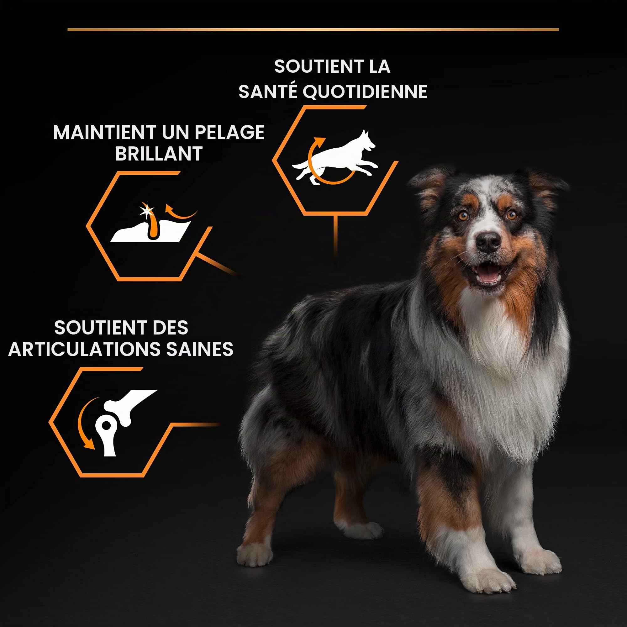 Purina Pro Plan – Aliment sec pour chien adulte moyen avec Optibalance 4 x 3 Kg