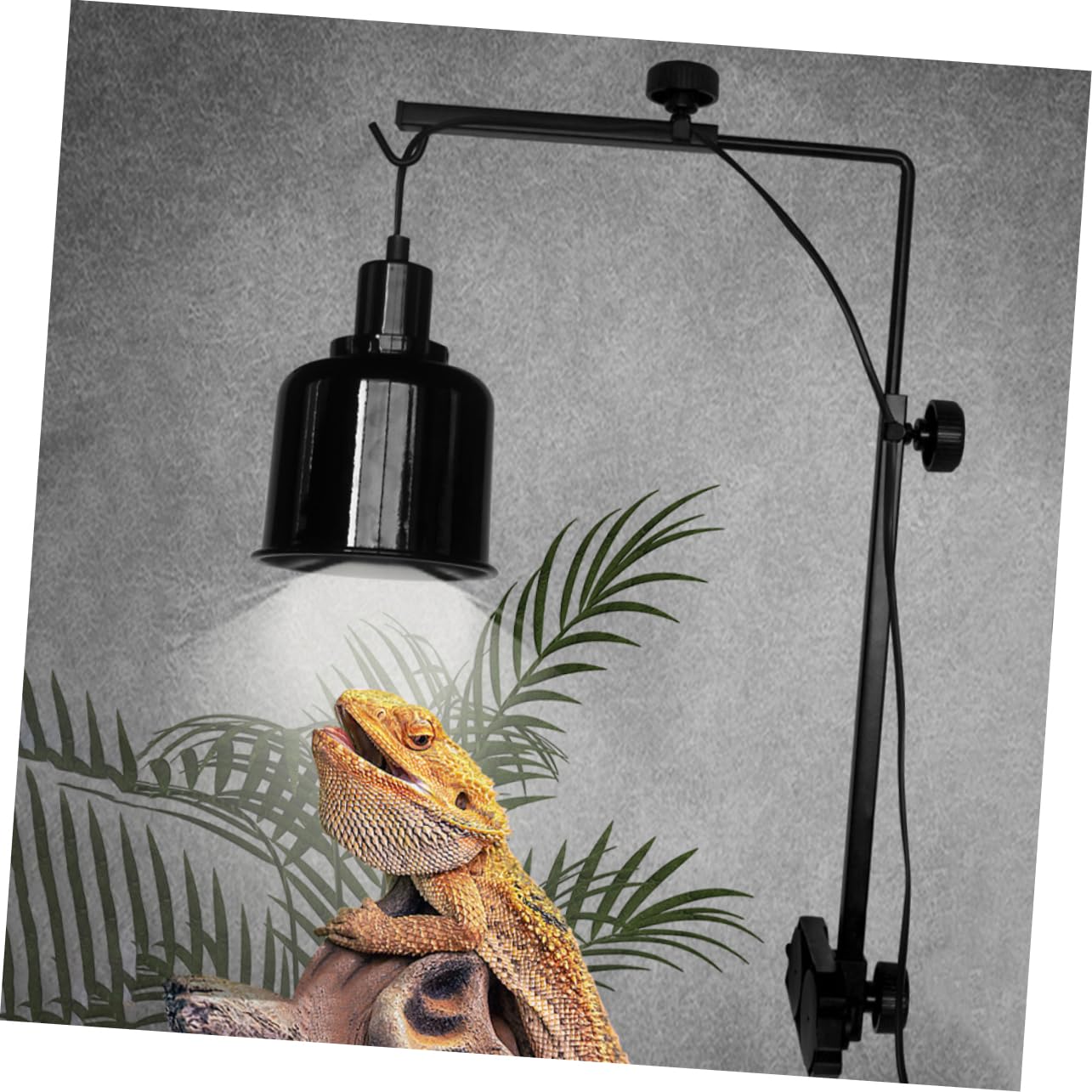 Mipcase Supporto Luce Acquario Supporto Luce Terrario Accessori Per Acquari o Per Dell'acquario o Per Lampada Appendiabiti Per Lampada Rettile Black Ferro Da Stiro