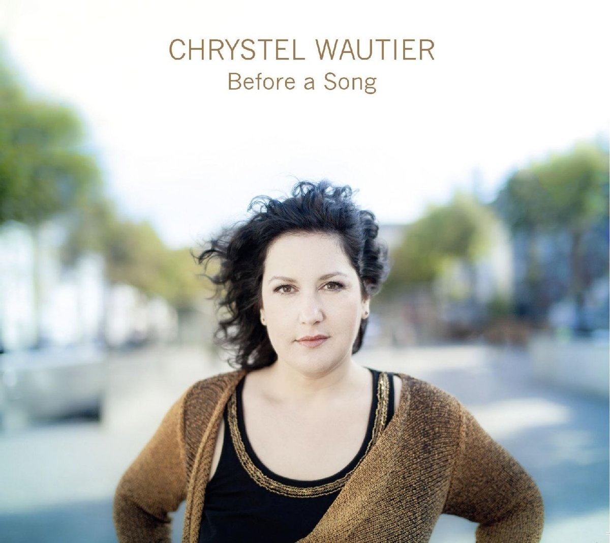 Before a Song [Audio CD]