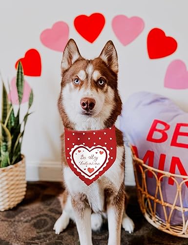 Miniatura 9 de Bandanas para perro para el día de San Valentín, diseño de corazón rojo de doble cara, paquete de 2 bandanas navideñas para cachorros, pañuelos para