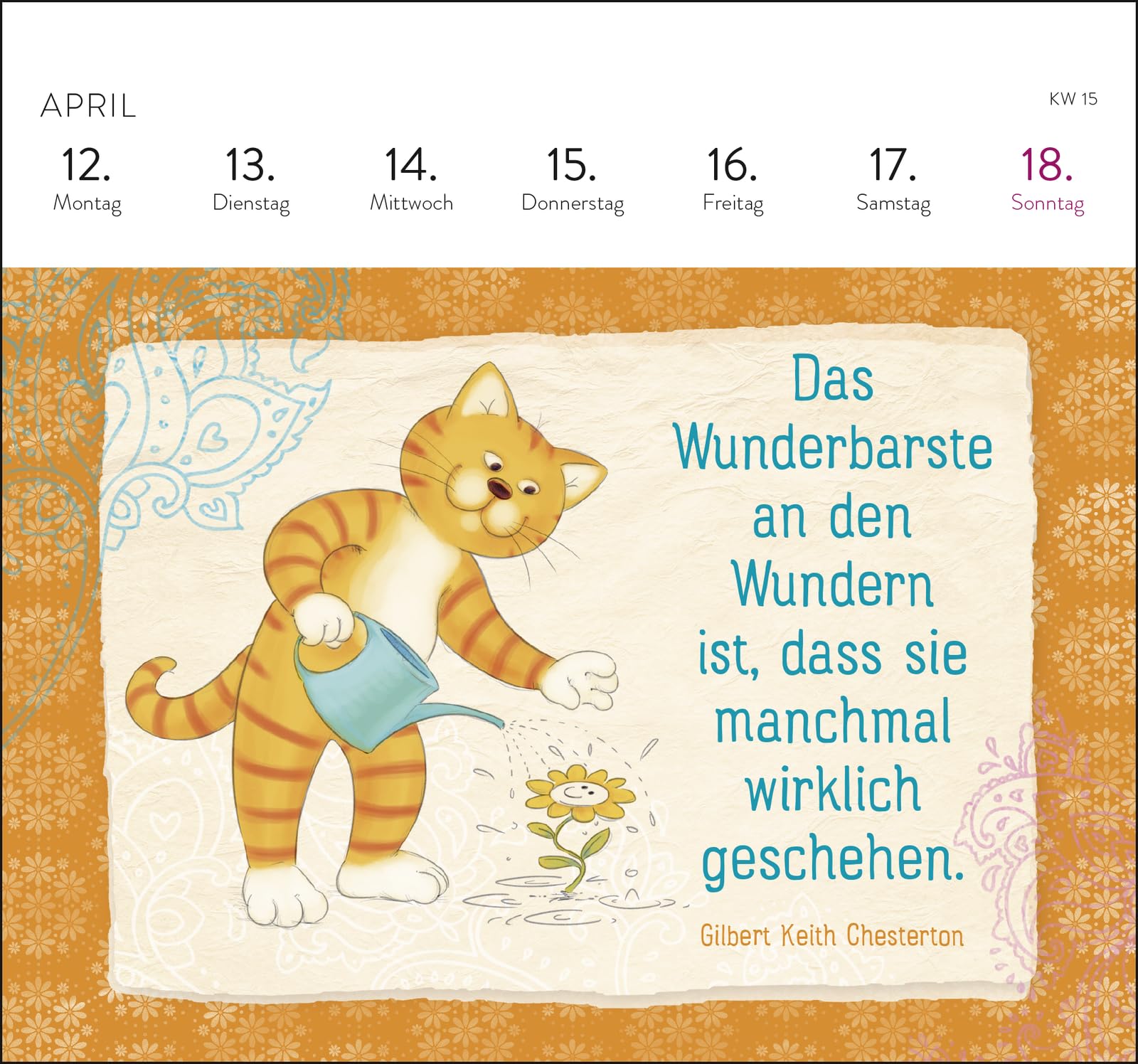 Postkartenkalender 2027: Om-Katze: In der Ruhe liegt die Kraft: Wochenkalender zum Aufstellen, Tischkalender mit Spiralbindung und 53 Postkarten zum Heraustrennen