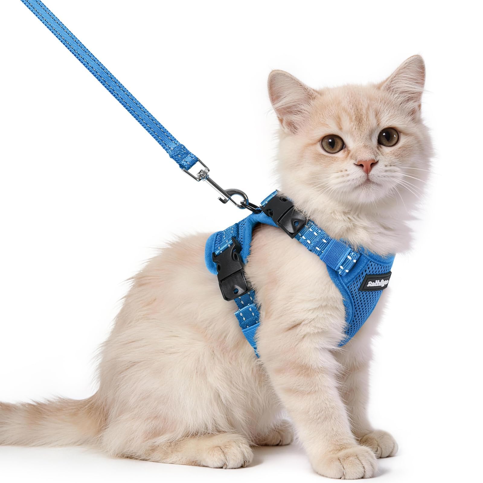 rabbitgoo Cat Harness and Lead Set, Easy-on with Neck Buckle, Royal Blue