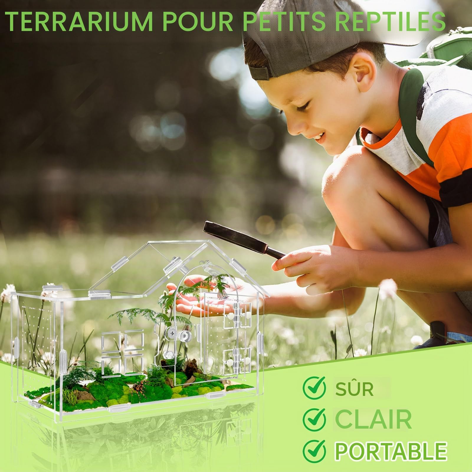 Acryl terrarium pour araignées sauteures, terrarium pour araignées sauteures, terrarium polyvalent pour reptiles pour tarentule, gecko