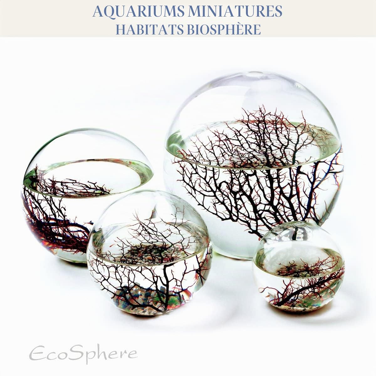 EcoSphere - Miniaquarium de la NASA Space Research - Fait à la main - Écosystème fermé avec crevettes - Fabriqué en Allemagne (boule de 10 cm)