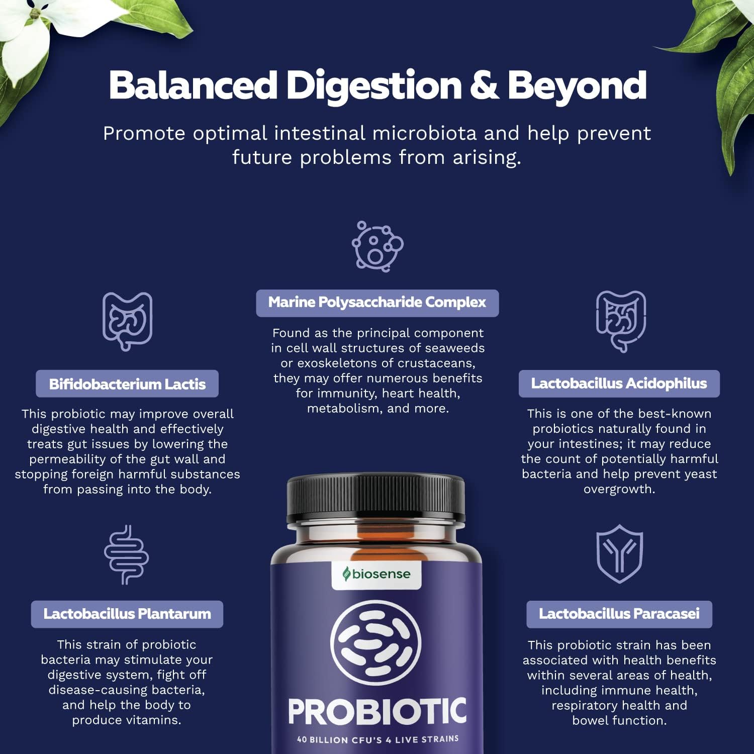 Bio Sense Probiotics Supplement for Men and Women - Natural Pure Immune System Booster with Acidophilus - Digestive Health Detox Cleanse Probiotic Formula 40 Billion CFUs 60 Capsules