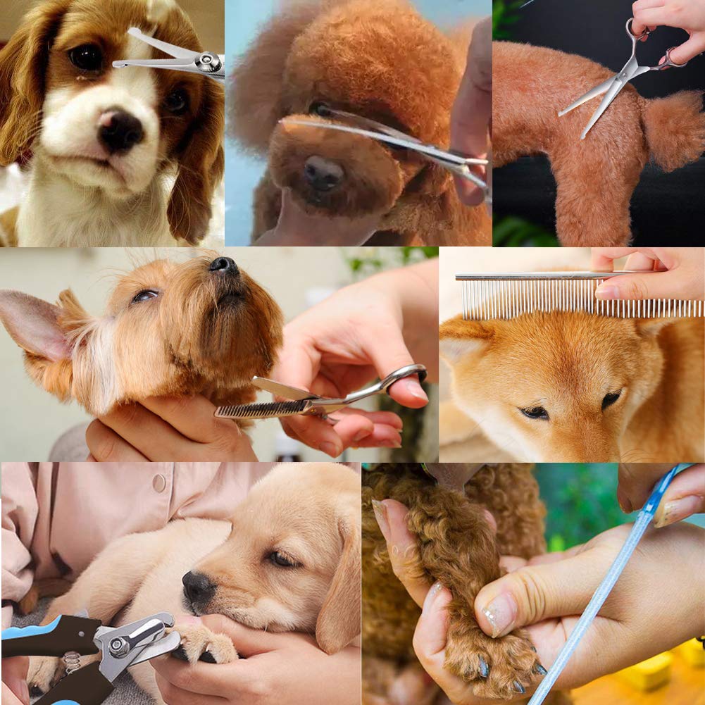 Freewindo Hundeschere Fellschere, Runde Spitze, Strapazierfähiger Edelstahl, Hunde Schere Hund Nagelknipser für die Ganze Körperpflege