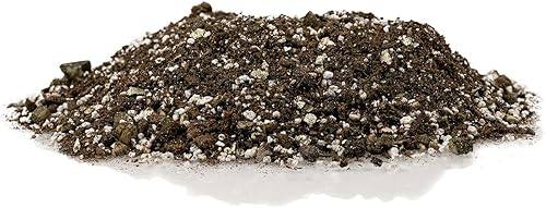 Miniatura 3 de Mezcla de suelo prémium para violetas africanas y gesneriad, perlita hortícola (25%) + vermiculita (25%) + musgo de turba esfagnum (50%), fabricada