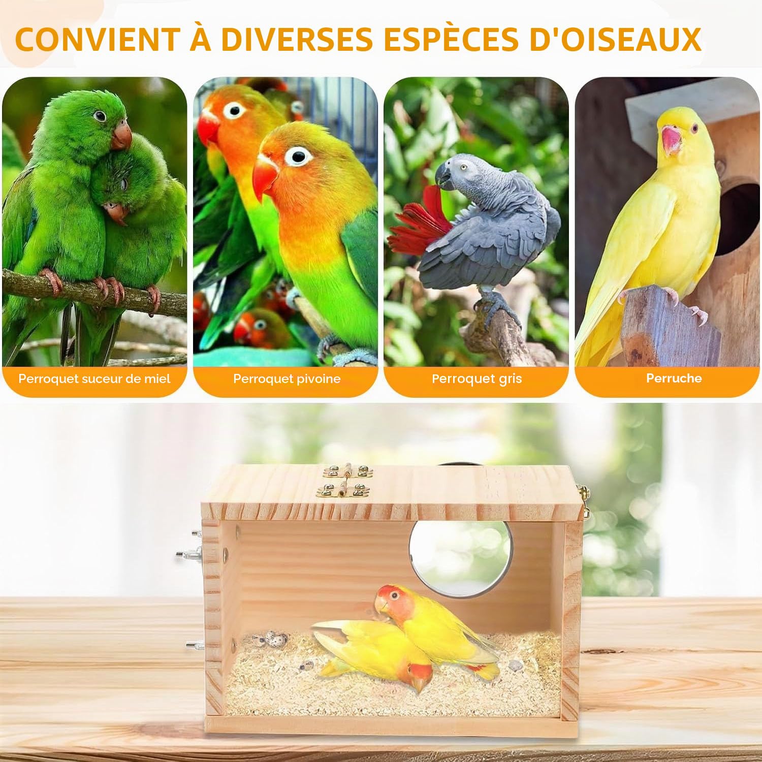 1 PCS Nichoirs en Bois Naturel, Transparent Nid Perruche Ondulée avec 2 PCS Jouet Perruche(Balançoire/Échelle) pour Pinsons, Perruches(19.5x12x12 cm)