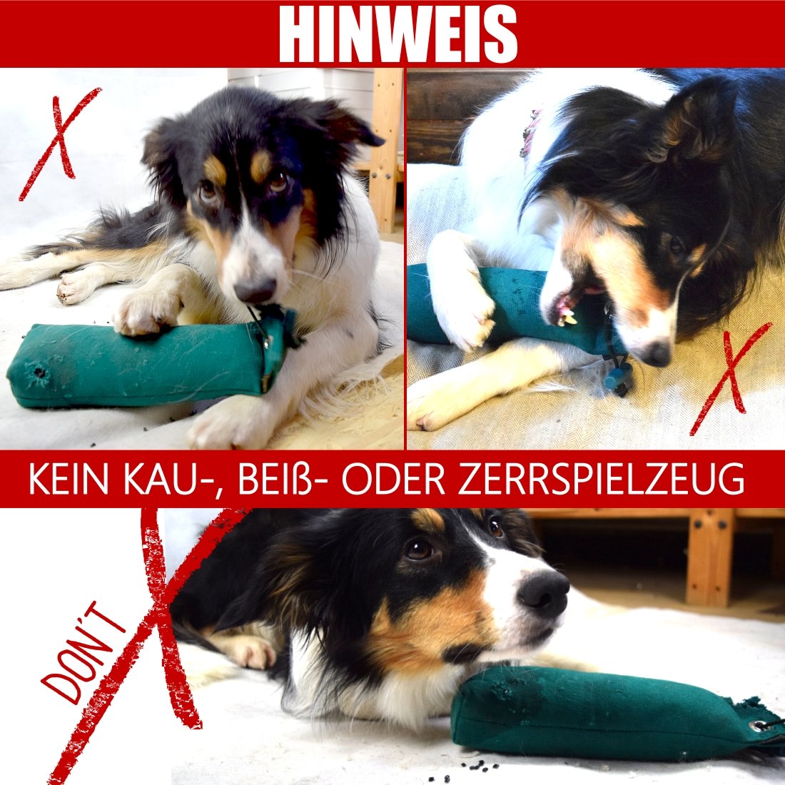 Romneys Junior Dummy 250g | Aktion 5 + 1 GRATIS | Mit Wurfgriff | Schwimmfähig | Ideal für das Apportiertraining (farbmix)
