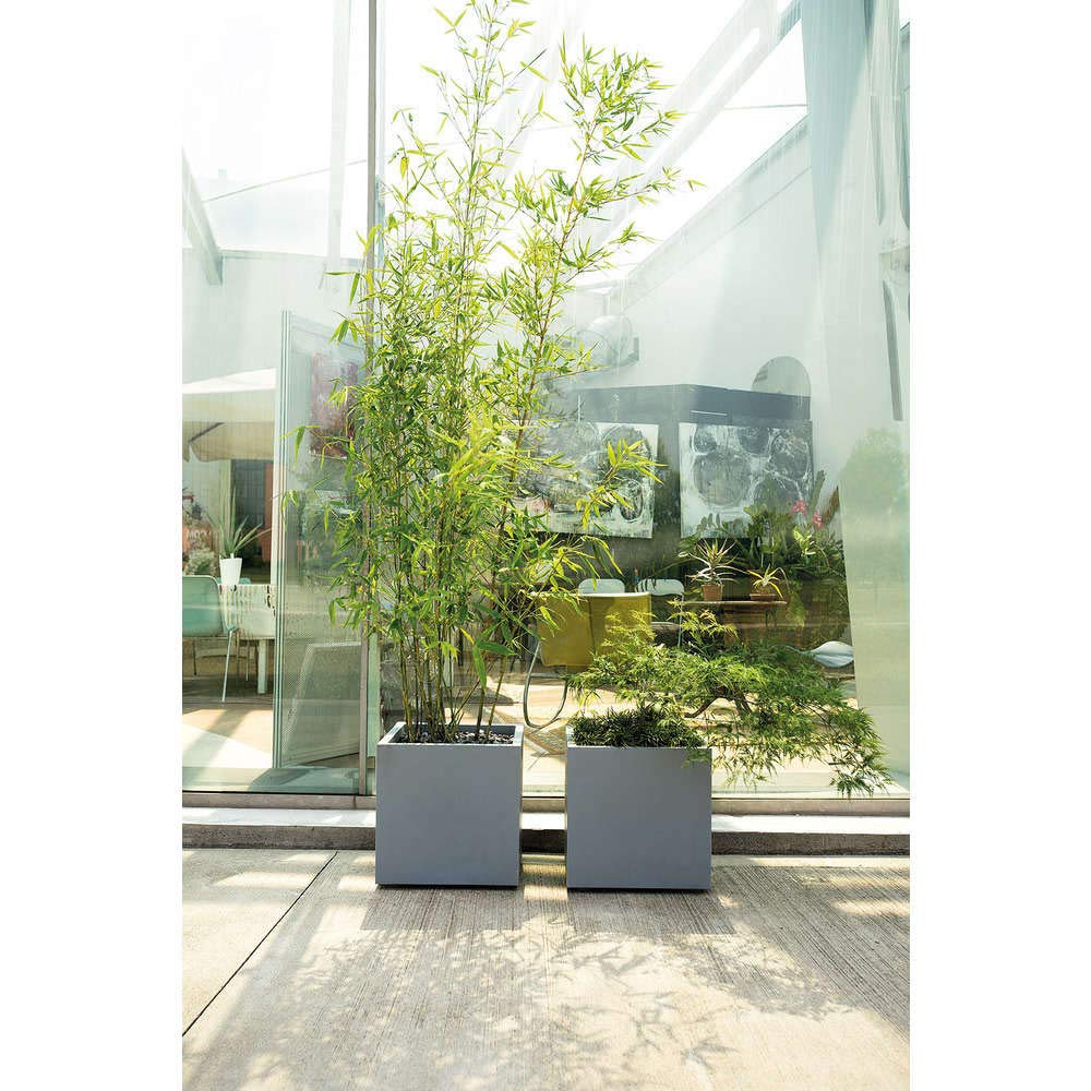 DEROMA VASI E FIORIERE - Vaso CUBO Millennium 39x39 Ghiaccio