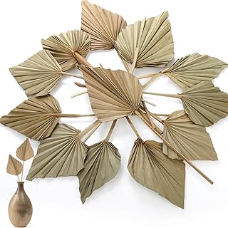 AVLA 12 Pack Boho Dried Palm Leaves, Dried Palm Fans with Stem, Natural ...