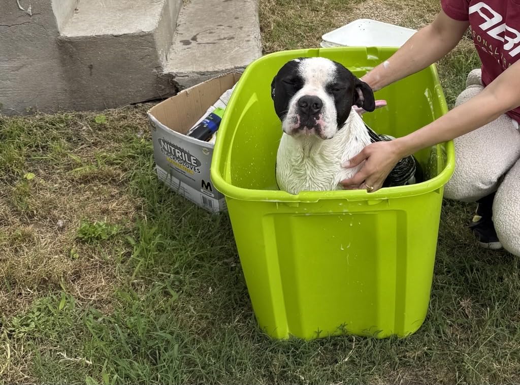 Furminator® Deshedding Ultra Premium Shampoo & Conditioner Bundle. 16oz. : Pet Supplies Review Image