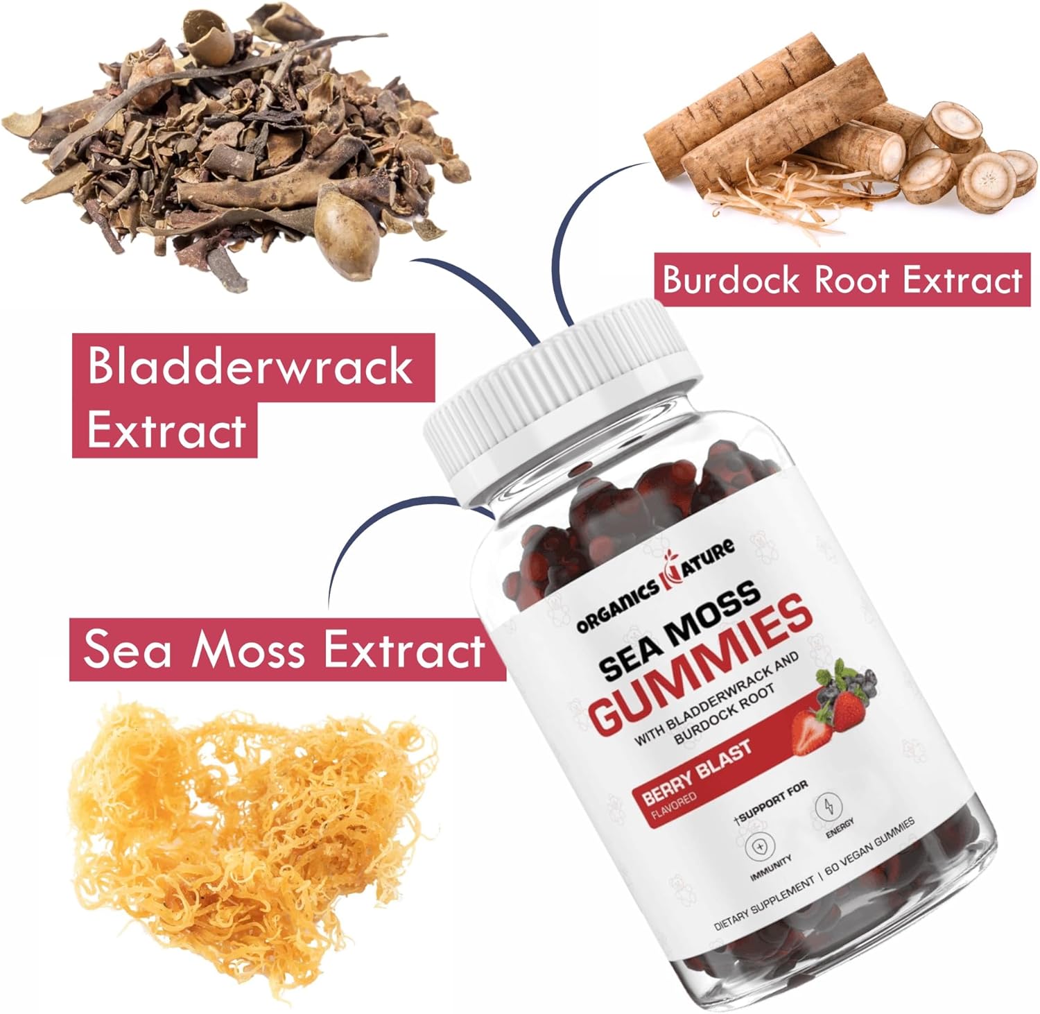 ORGANICS NATURE Irish Sea Moss Gummies for Lung Detox, Thyroid, Strength Immune & Energy Support, Vegan Seamoss Gummies for Kids & Adults - 60 Vegan Gummy Bears Berry Flavored - Image 3