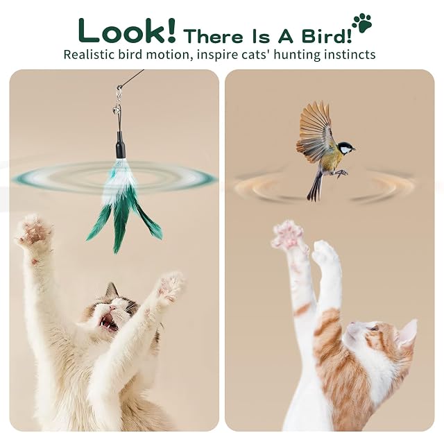 Foto 4 de 8 de Pawaboo Pluma de Juguete para Gato, 21.5cm Interactivo Colector del Gatito de Extra Largo, Varita Cazador…