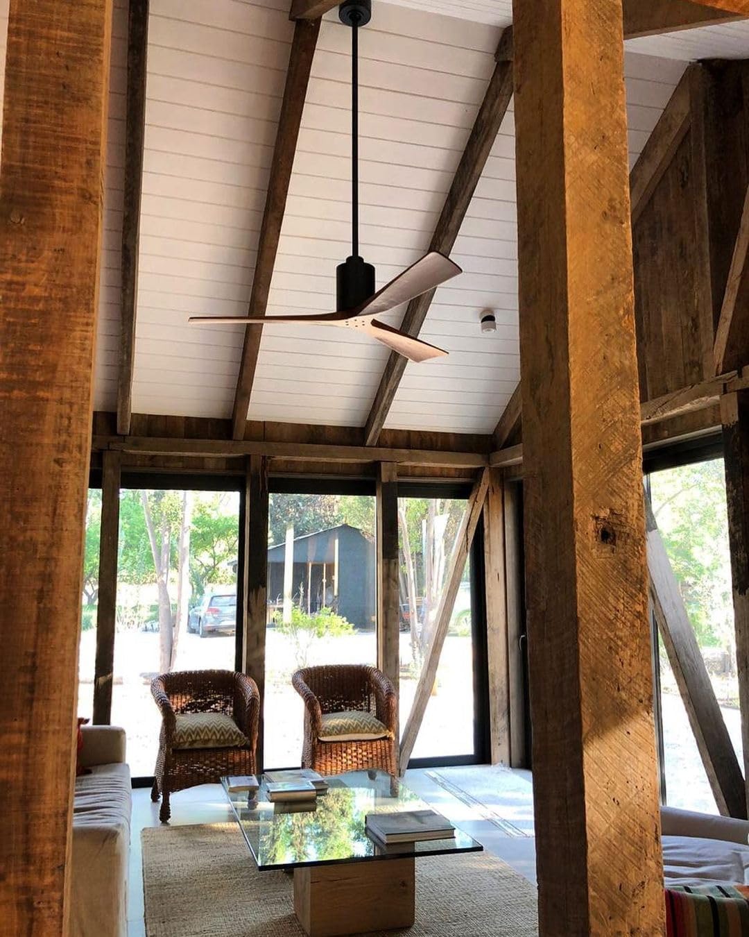 Matthews PA3-BK-WA-60 Patricia Indoor/Outdoor Damp Rated 60" Ceiling Fan with LED Light and Remote & Wall Control, 3 Walnut Solid Wood Blades, Matte Black Matte Black Walnut Tone Blades