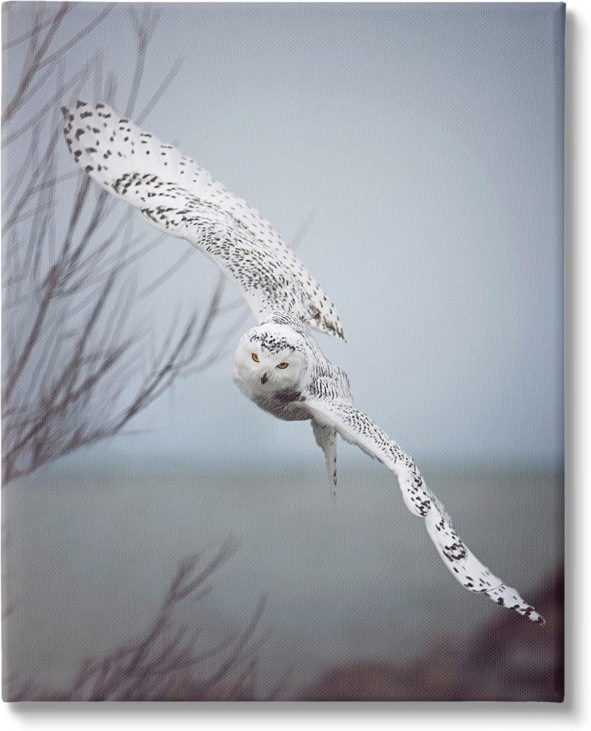 Stupell Industries Majestic Snowy Owl Flying Wingspan Wildlife Photography Canvas Wall Art, Design By Carrie Ann Grippo-Pike