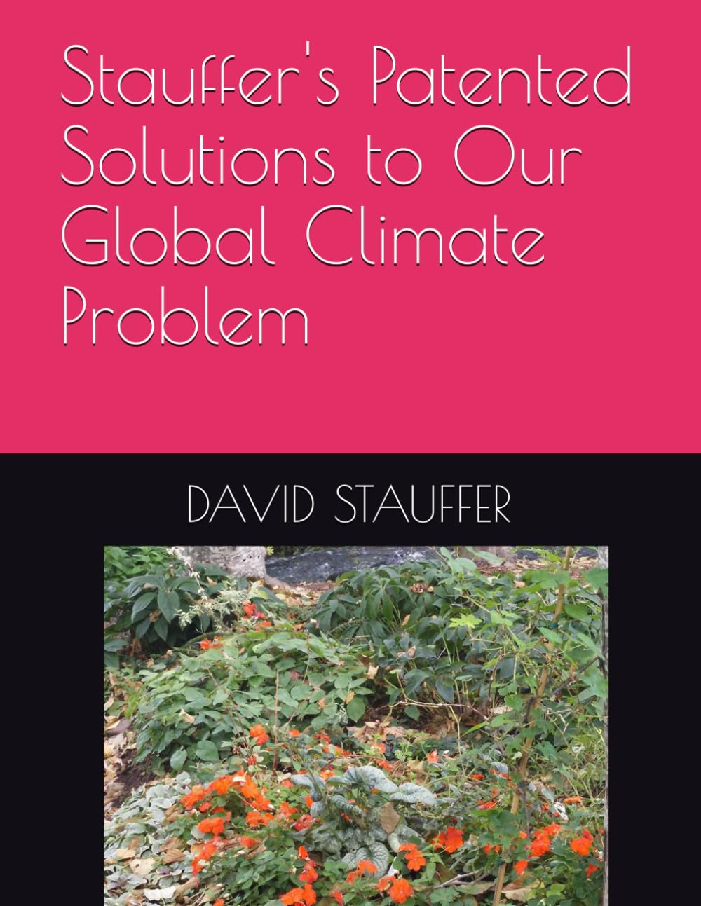 Stauffer's Patented Solutions to Our Global Climate Problem: Patented, Profitable, Scientific, Affordable, and Environmentally Friendly Inventions.