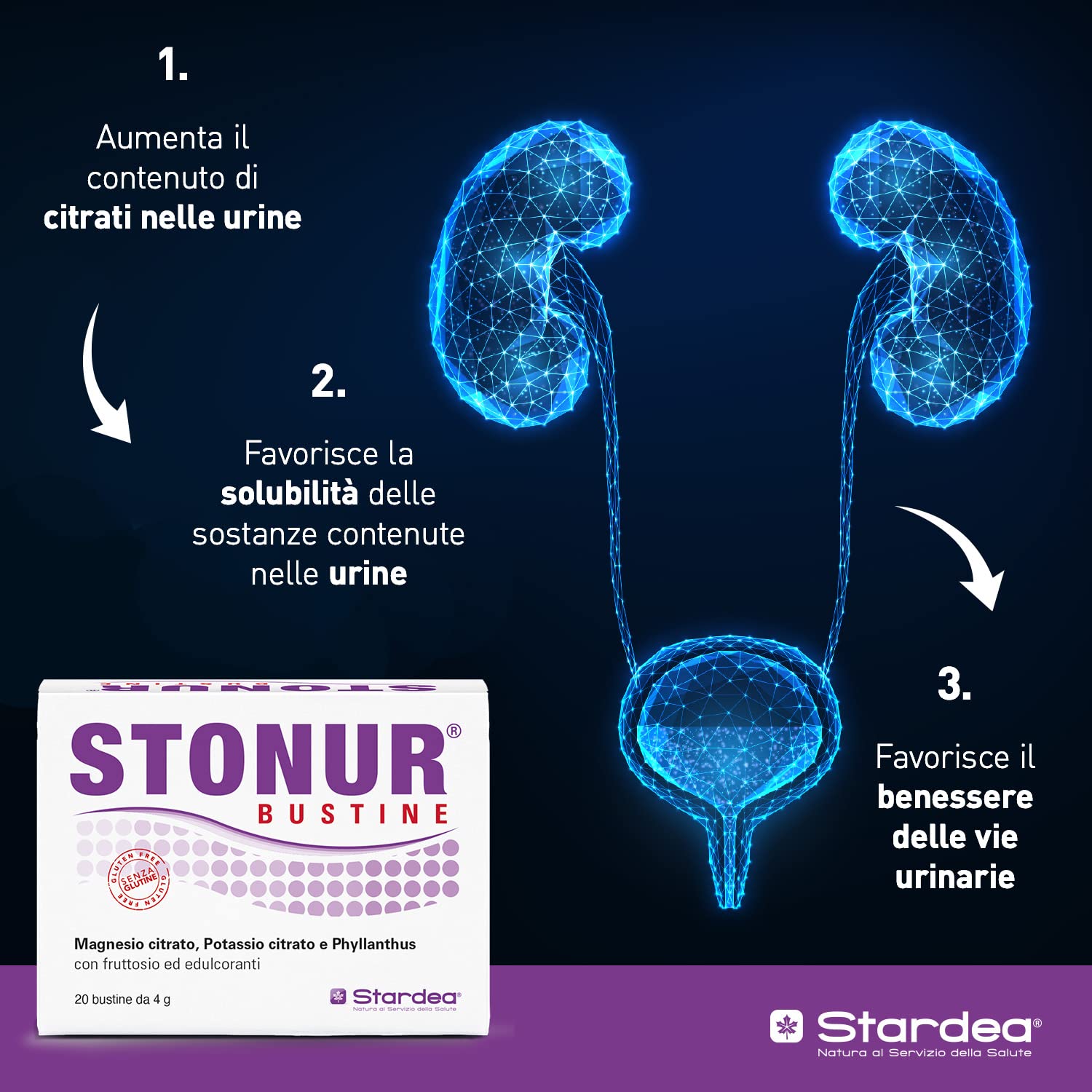 Stardea STONUR, Calcoli, Apparato Urinario, Citrati, Phyllanthus, Vitamina B6, Senza Glutine, 20 Bustine (Confezione da 2)