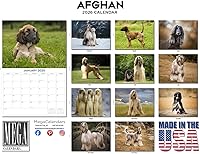 Vista 333 de Razas de Perros 2017