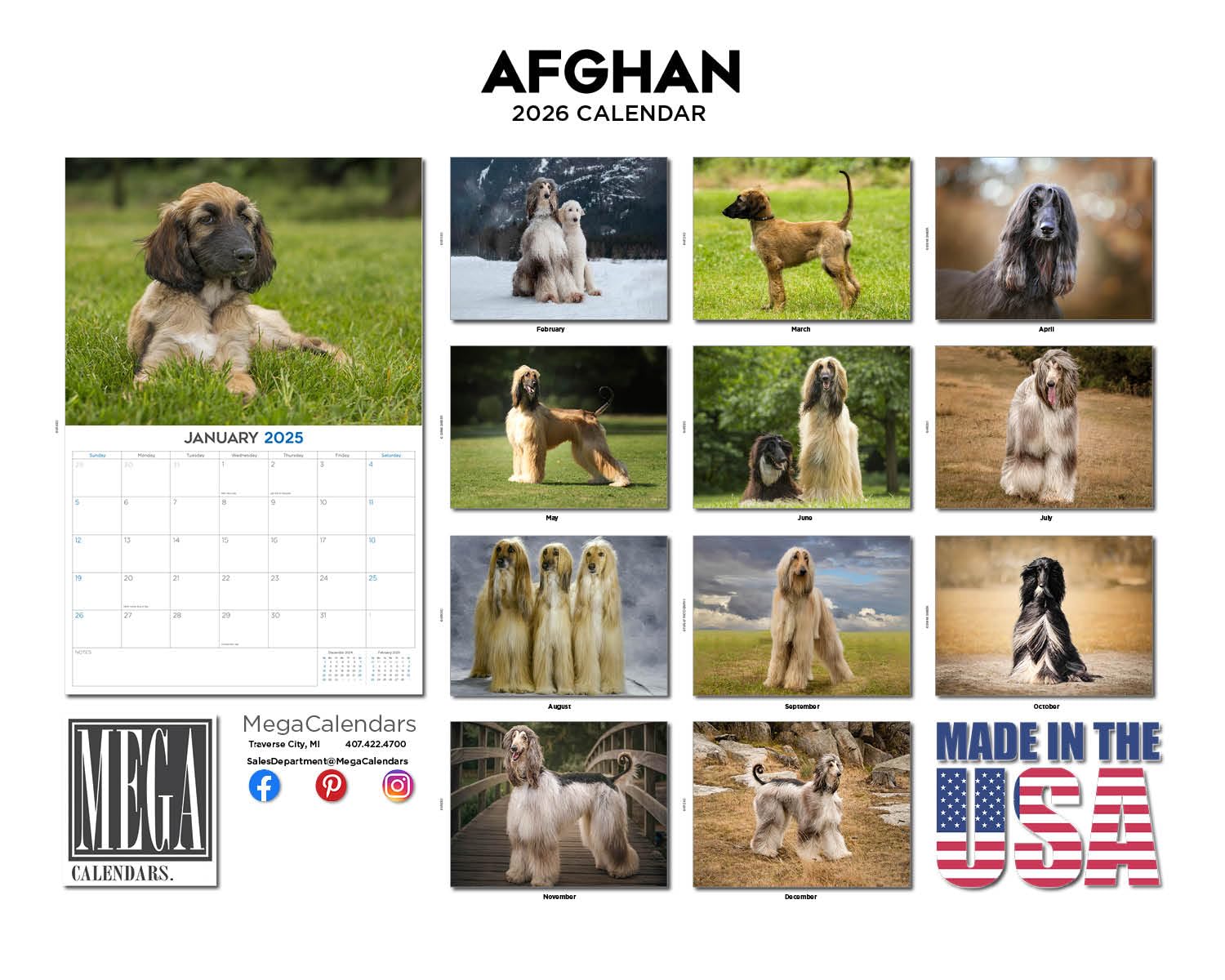 Calendario 2024 2025 de perro afgano – Calendario mensual de pared de raza de perro – 12 x 18 pulgadas abierto – Papel grueso que no se corre – Regalo – Planificador académico para profesores,
