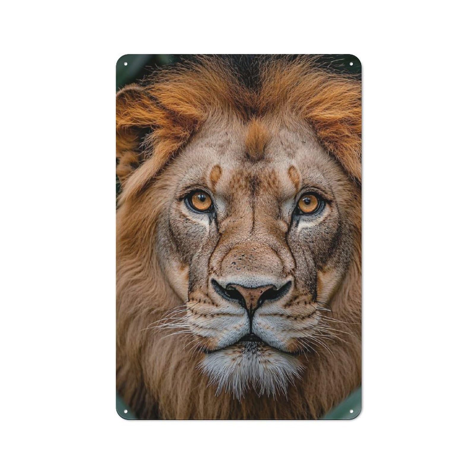 Retro Metal Plaque 30x20cm Featuring Majestic Lion Portrait in Lush Foliage for Home Bar Wall, for Room Styling Across Home Bars And Entertaining Spaces