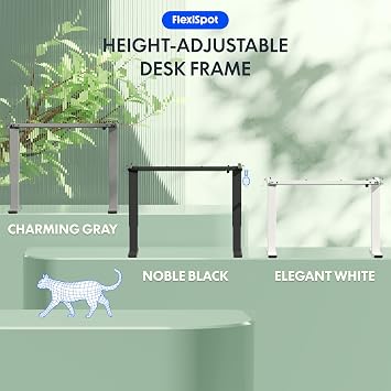 FLEXISPOT Height Adjustable Electric Standing Desk Frame Ergonomic Sit-stand Workstation with Memory Smart Panel EN1(2 Stage | White)