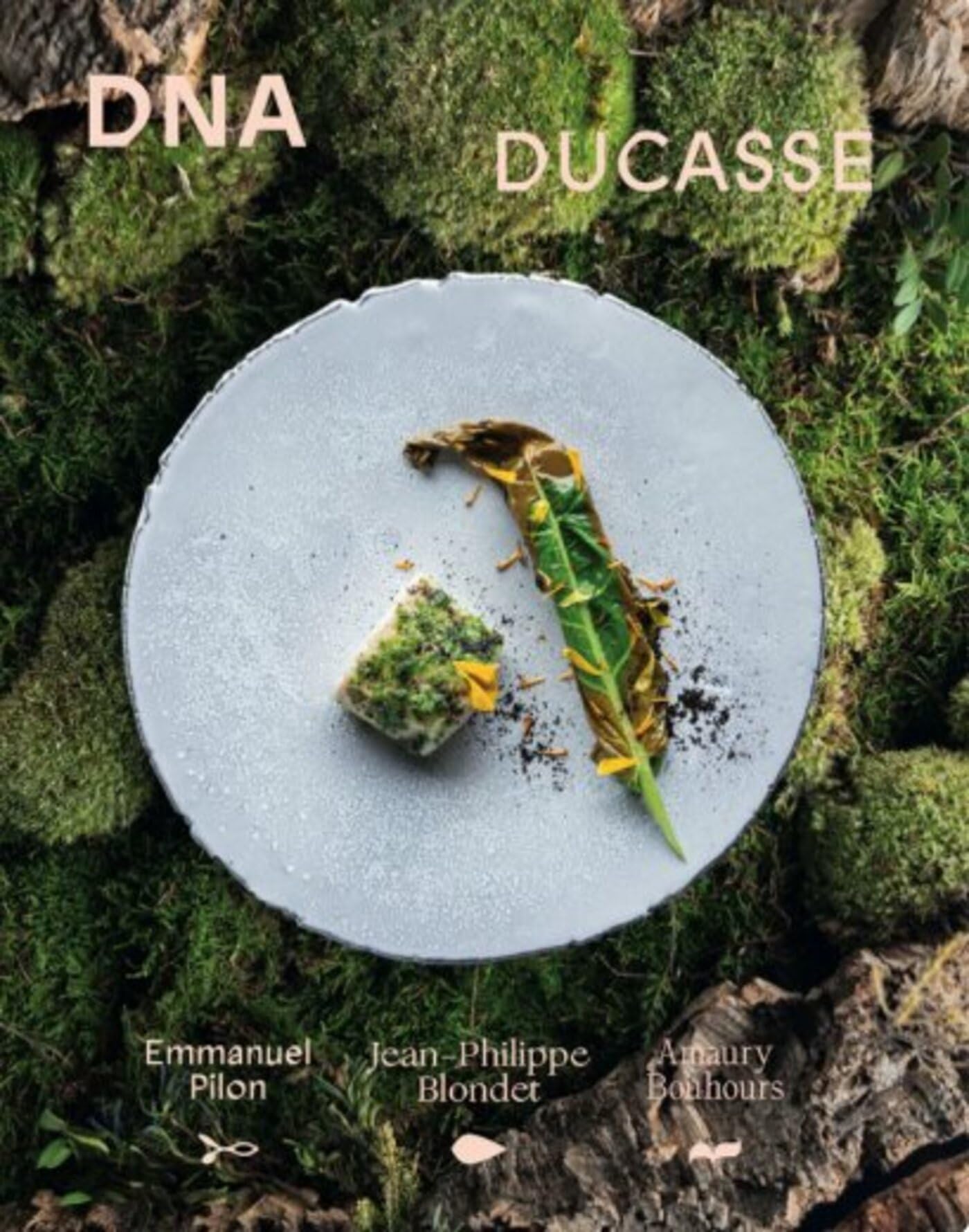DNA Ducasse