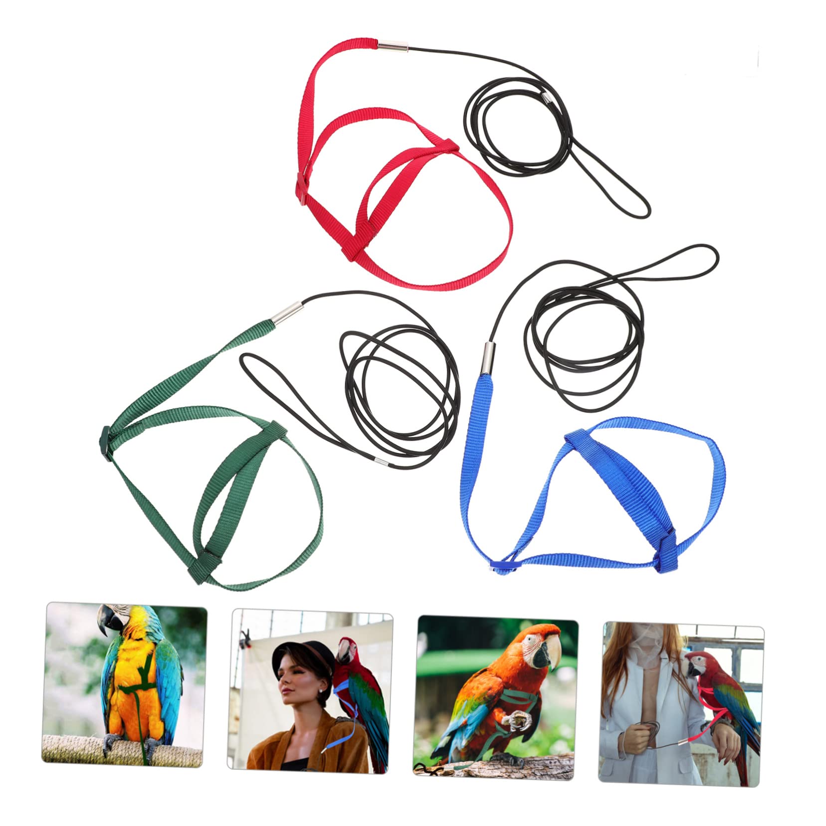 DOITOOL 12piezas Arnés y Correa para Entrenamiento De Aves De Arnés Volador Ajustable Material Seguro para Cacatúas y Periquitos para Entrenamiento Al Aire