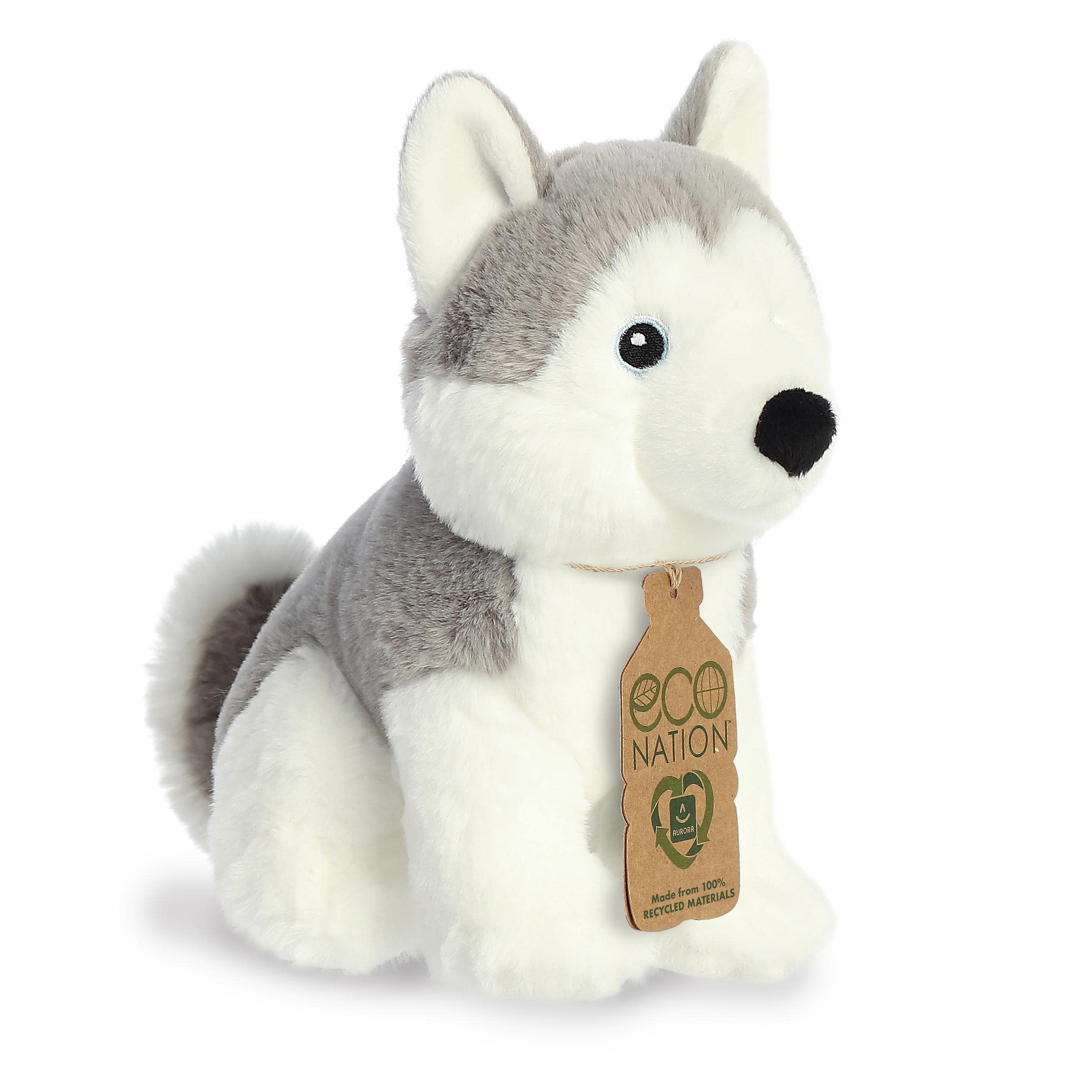 Aurora - Eco Nation - 8" Husky