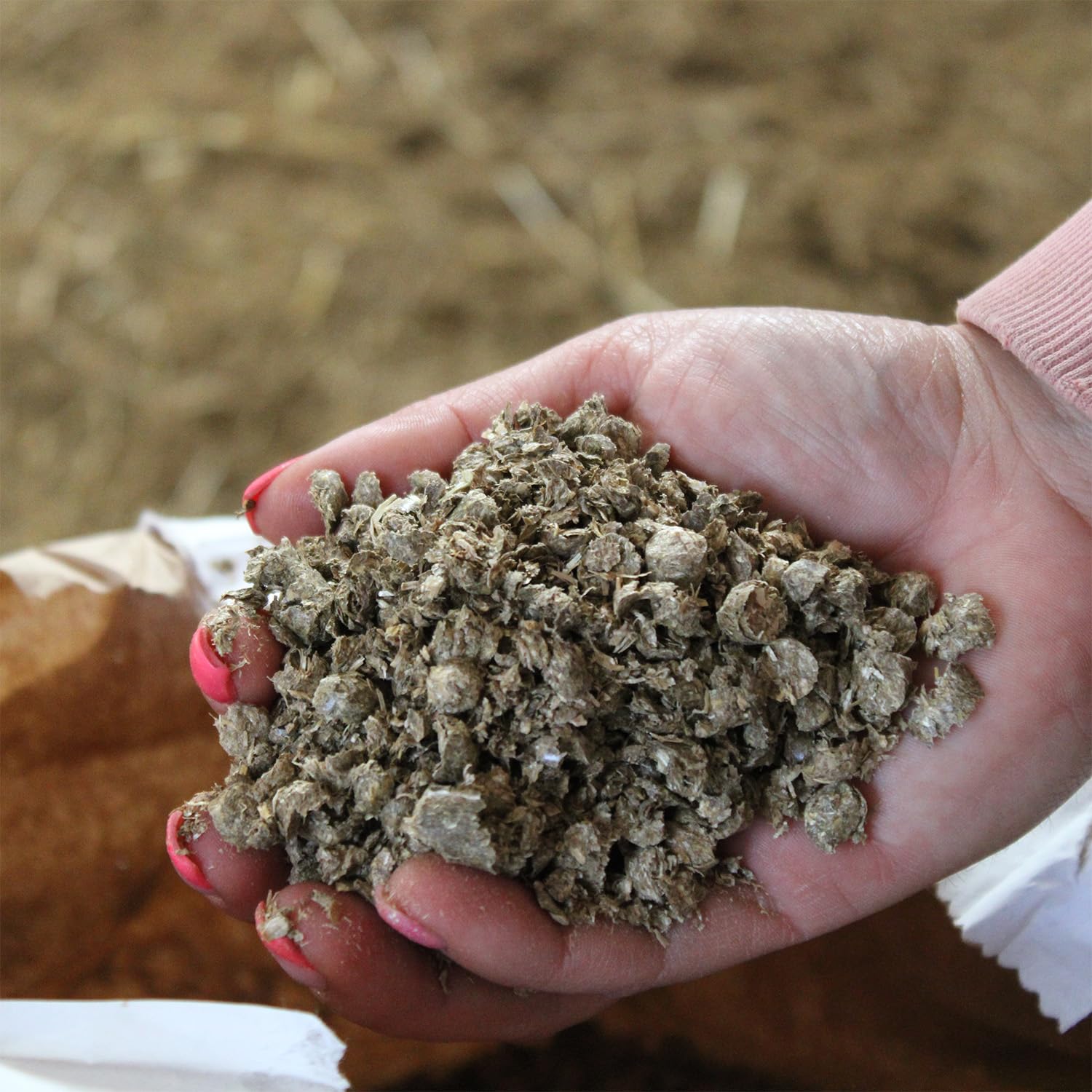 Strohgranulat Einstreu Granulat Stroh Tier Streu Pellet Für Großtier Kleintier Pferde Stall Box Paddock 15kg x 65 Sack 975kg / 1 Palette