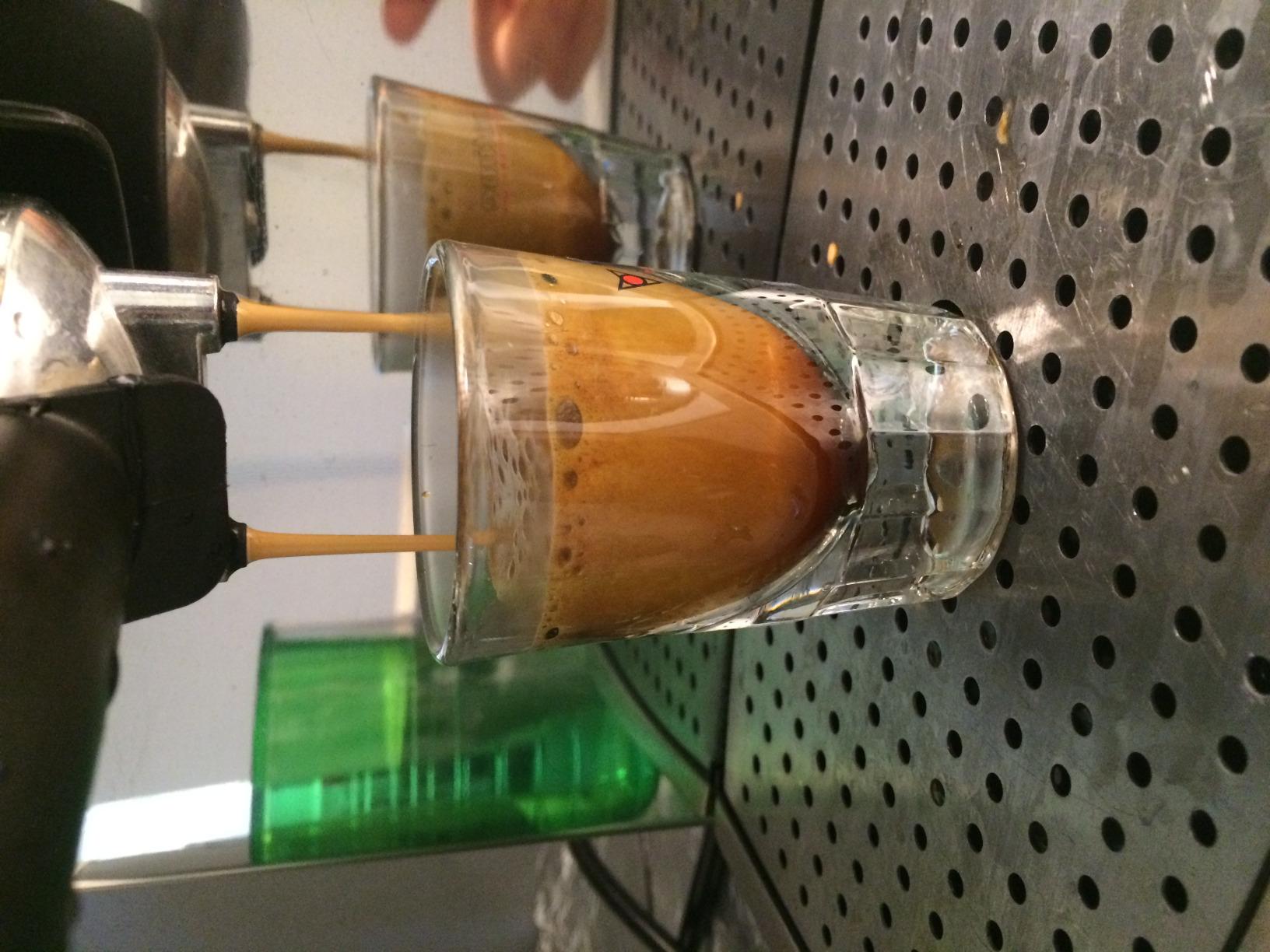 Some cosmetic issues, nice espresso shots, okay frothing wand