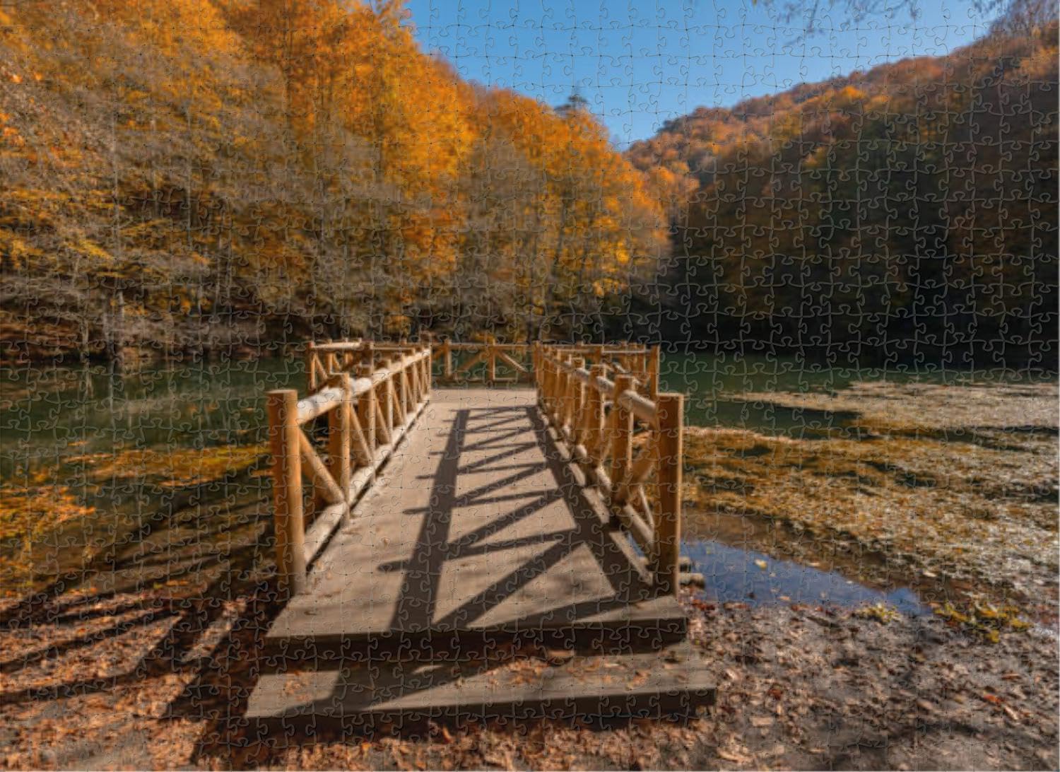 1000 Piece Puzzle for Adults Jigsaw Puzzles Hard Challenging Difficult Family Cool Large Abant Puzzles for Adults 1000 Pieces