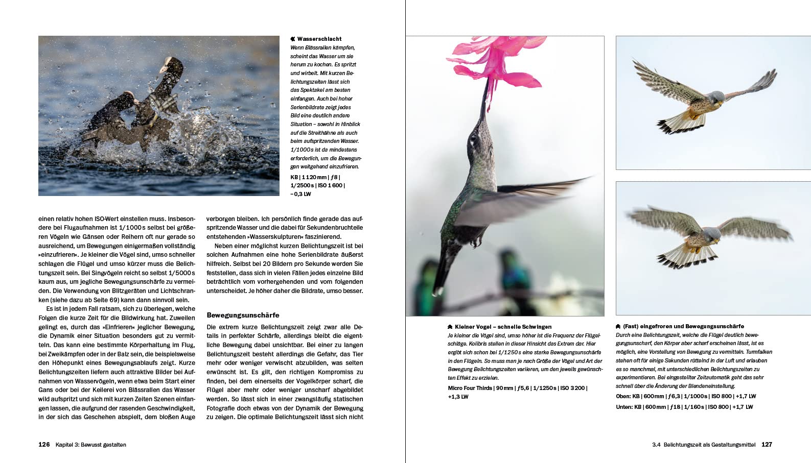 Vogelfotografie: Die große Fotoschule. Ihr praktischer Einstieg: Ausrüstung, Aufnahmetechnik, Bildgestaltung. Mit artenspezifischen Informationen