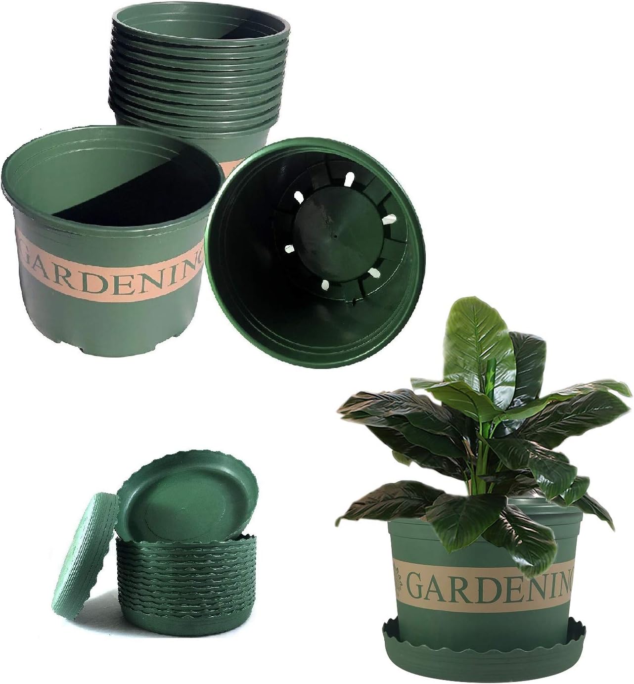 ココスヤシ 45Lナーセリーポット 安心の鉢植え 大鉢 植物