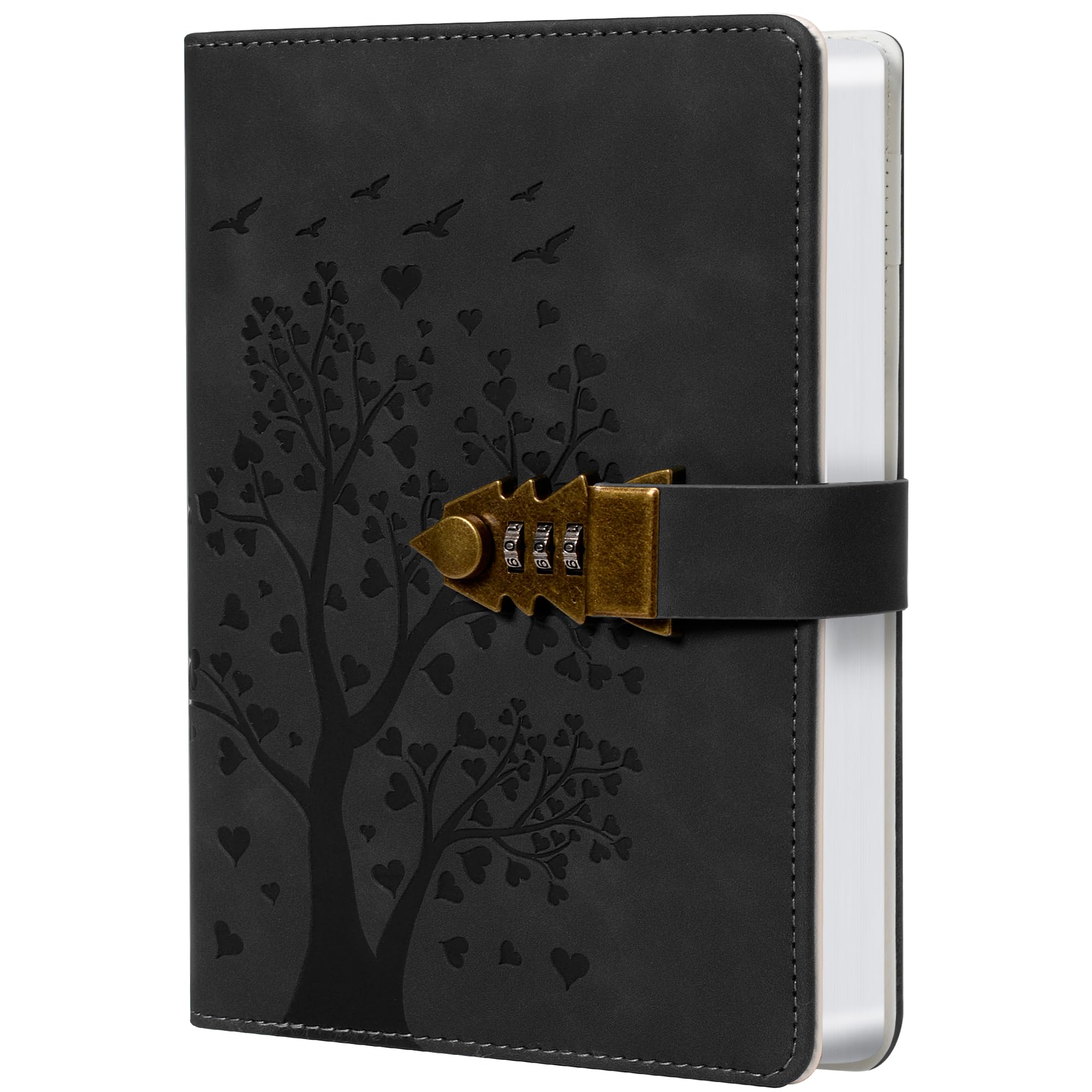 Diario Segreto A5 Lago Verde con Lucchetto 240 Pagine Notebook Protetto