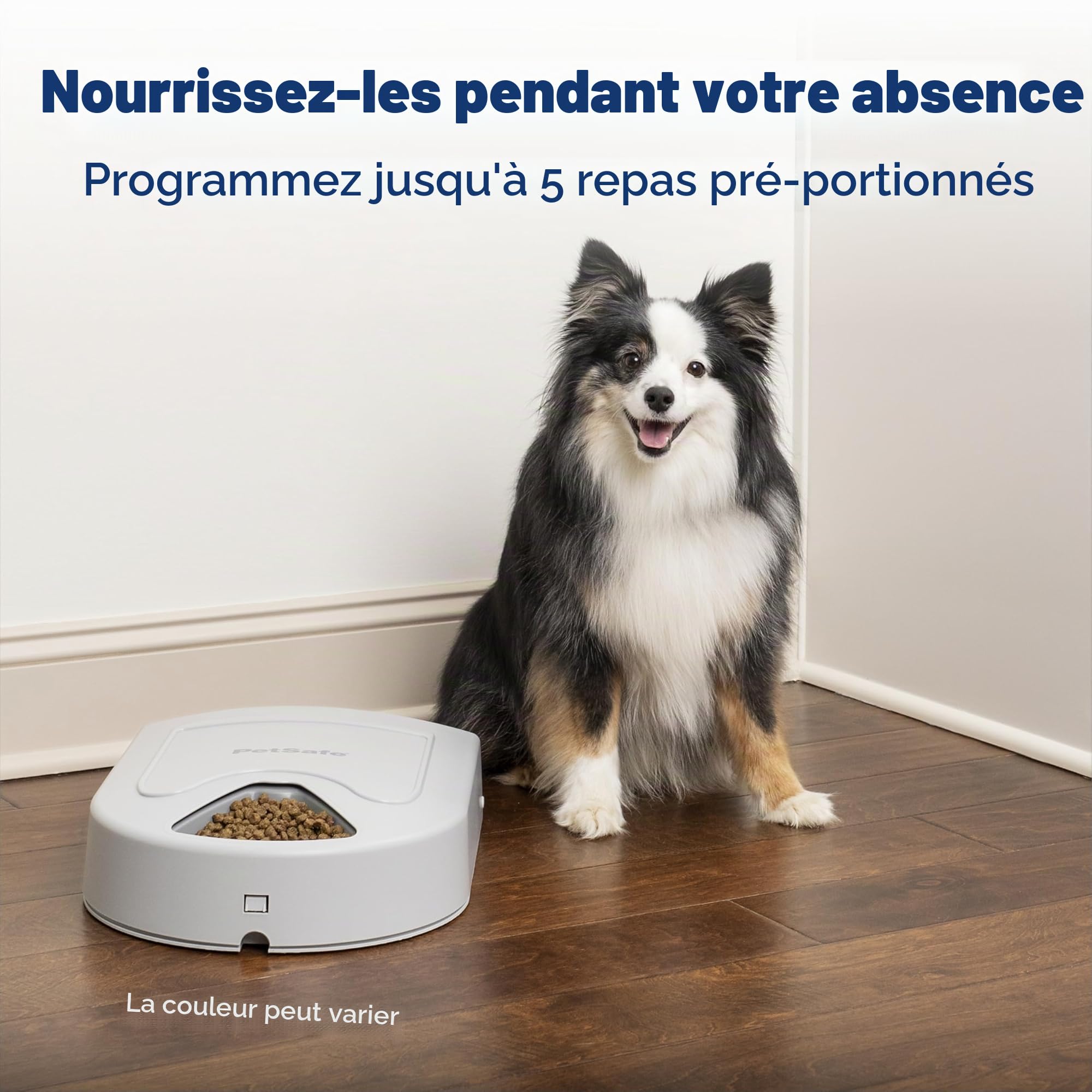 PetSafe Distributeur de croquettes pour Cinq Repas pour Chiens et Chats, Distributeur de Nourriture, Planifiez Les Repas de Vos Animaux domestiques, Contient 5 Cups (625 g) de Nourriture