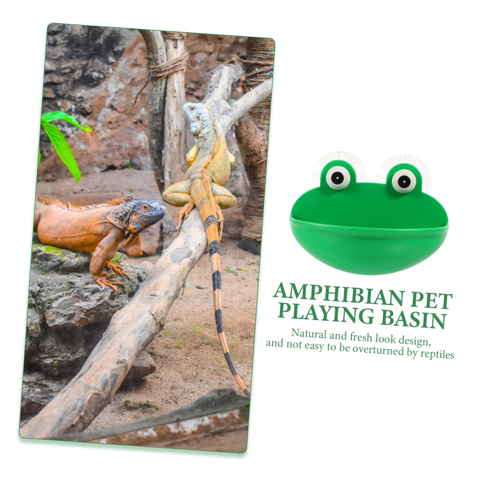 Beaupretty 6piezas Plataforma Decorativa para Terrario De Reptiles De Descanso y Alimentación para Mascotas Accesorios Multifuncionales para Decoración De Terrarios