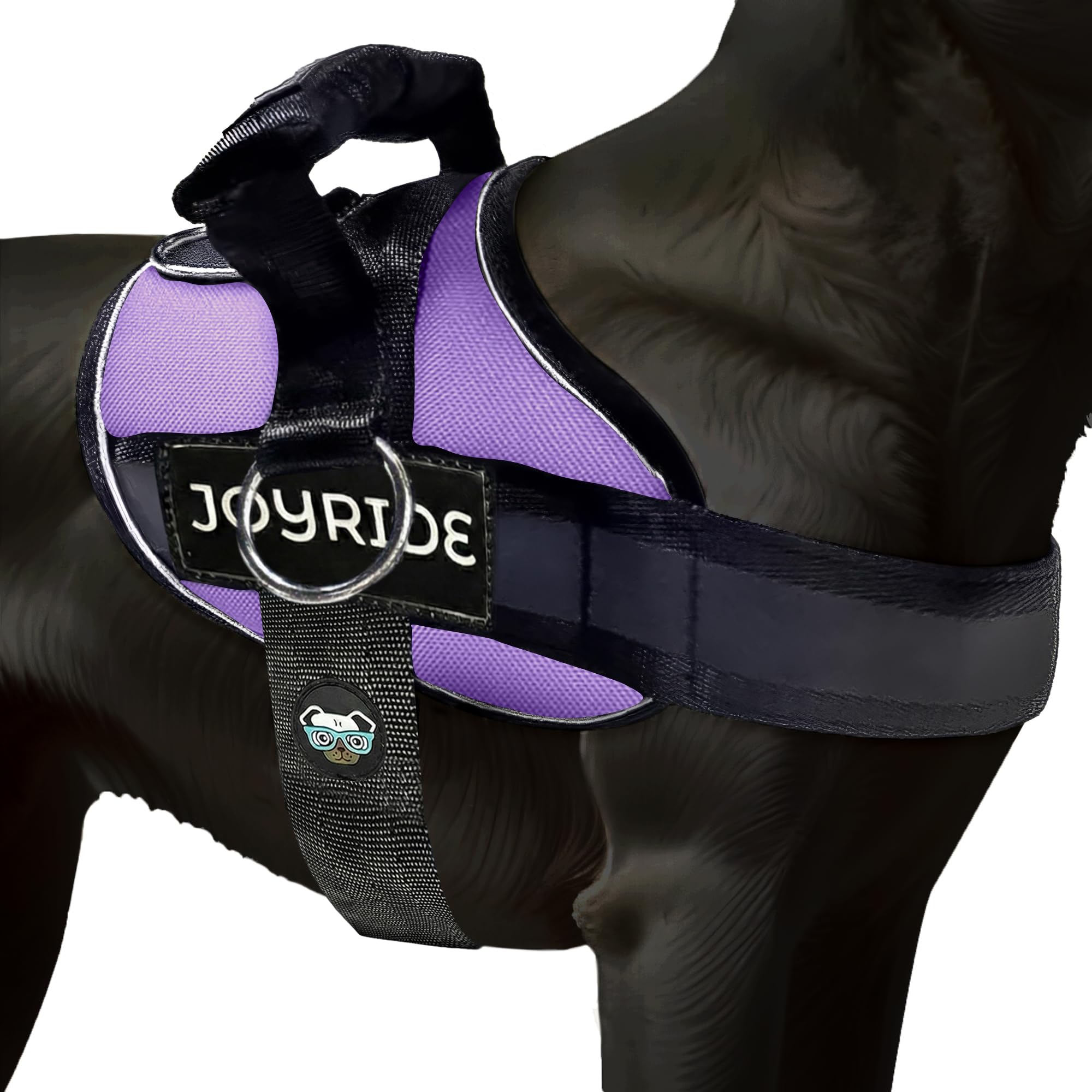 Joyride Harness 2.0 - The Original Side Ring No Pull Dog Harness - No Choke, Escape Proof, Reflective, 3 Leash Clips, Quick Fit Pet Vest - Easy Walks & Training - for Small, Medium & Large Dogs