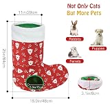 Ver la foto 7