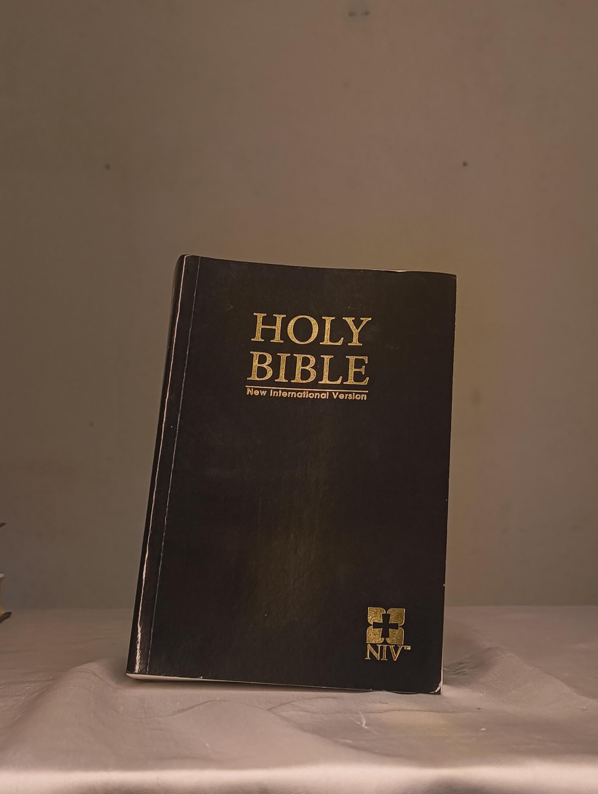English Bible | NIV | Large Print | Black Leather | with Zip (Golden Edges - Contains Old and New Testament)