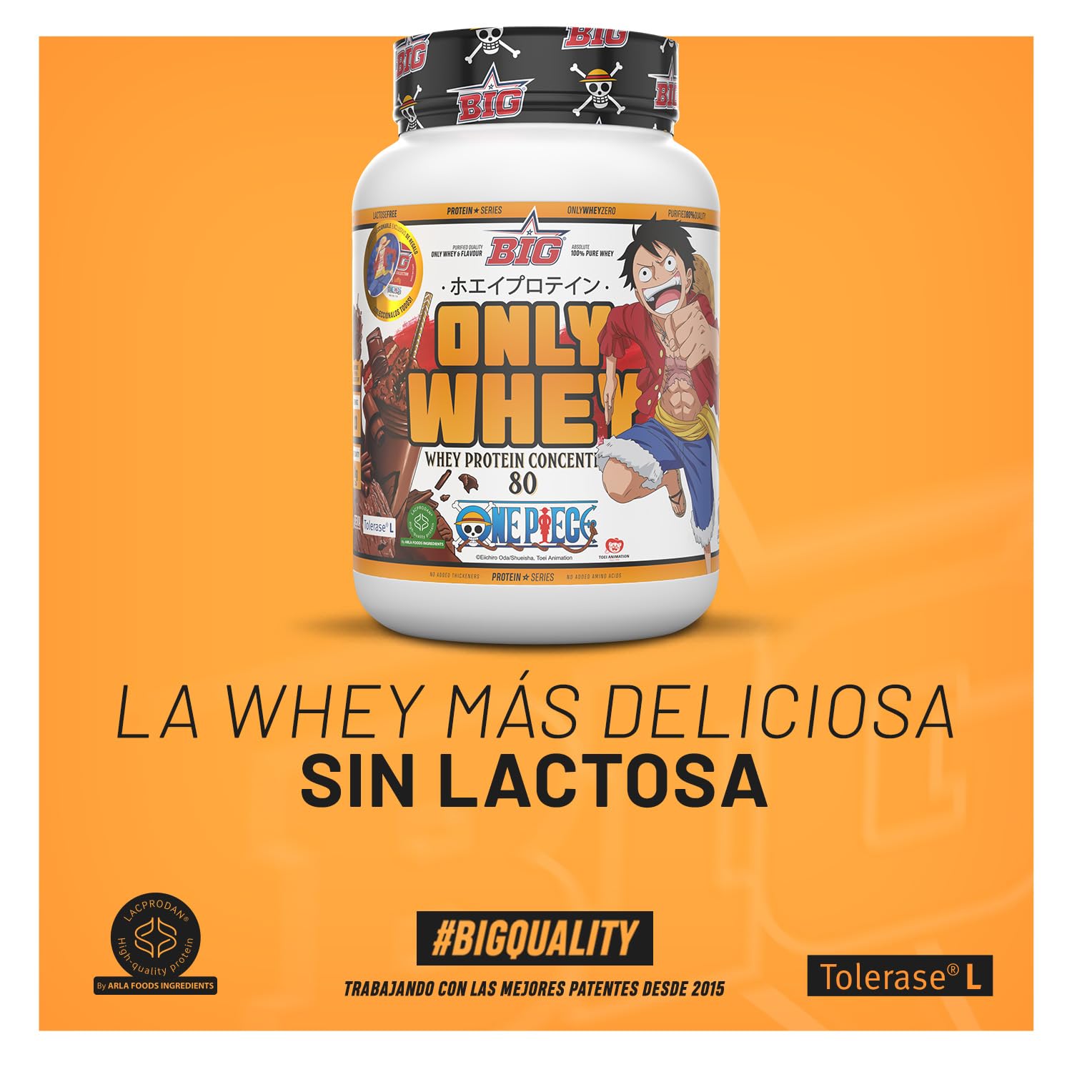 BIG - Whey One Piece - Edition exclusive avec 12 tasses à collectionner. Matière première Premium. Whey Protein pour masse musculaire. Sans lactose (1 kg, Choco One & Milk Chocolat Chips)