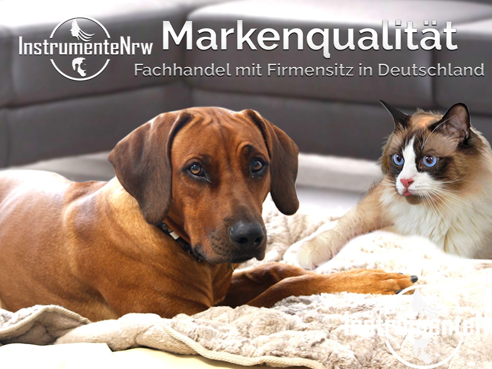 Trimmmesser Set für Hunde und Katzen 3-teiliger Satz Haustier Trimmer - Hundefellpflege Kamm - Unterwolle Fellmesser Hundeschere aus Edelstahl für Langhaar und Kurzhaar