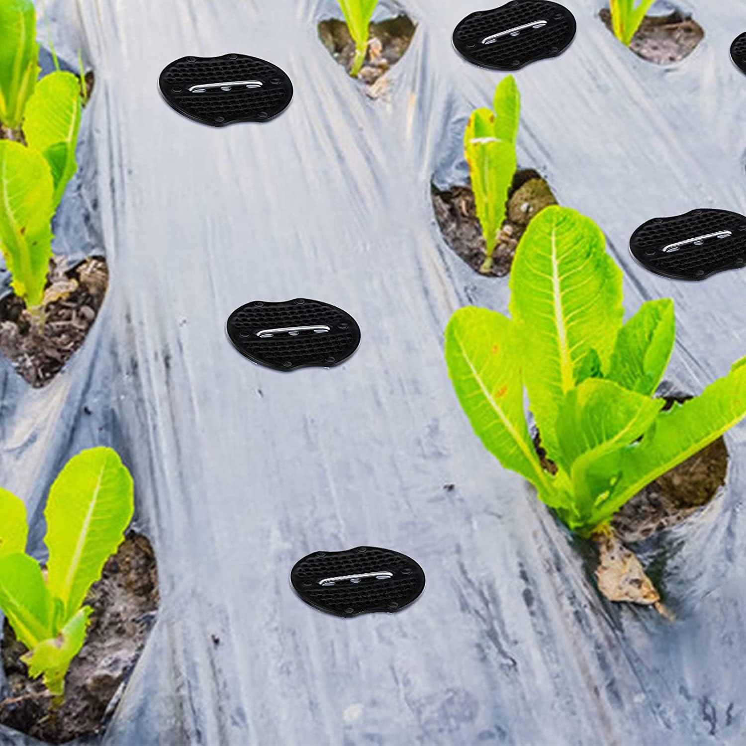 Paquete de 200 estacas de jardín, arandela de junta de plástico antidesgarros, disco amortiguador para grapas de paisaje, clavos afilados en U, cubiertas de paisajismo, red de yute, soplados de