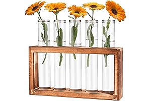 Elegant Desktop Glass Plant Propagation Station (5 Test Tube Vases & Wooden Stand)